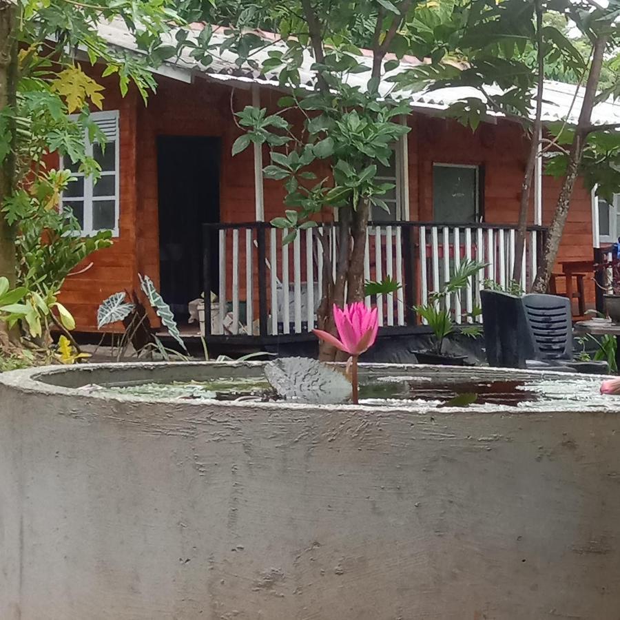 My House Ahangama Exterior foto