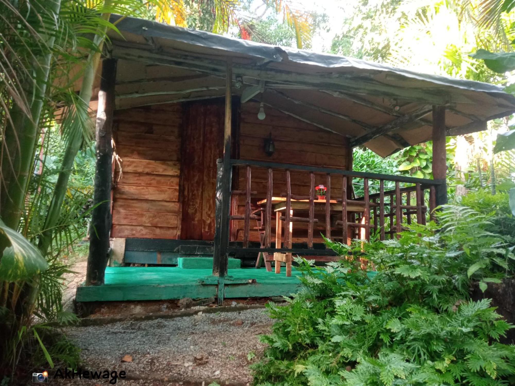 My House Ahangama Quarto foto